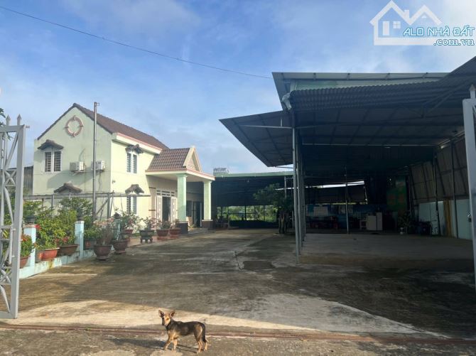 X189 🆘 Bán xưởng Bến Thuỷ 1600m2 Sông Buông - Phước Tân