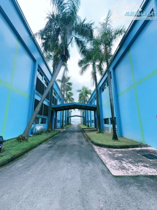 Xưởng mới TDT 22.000m2 (2Ha2) TRONG KCN Amata BIÊN HOÀ ĐỒNG NAI