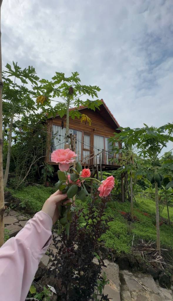 Bán đất vườn La Ngà Định Quán, cách Quốc Lộ 20 2km, hiếm có khó tìm chỉ 1 lô duy nhất