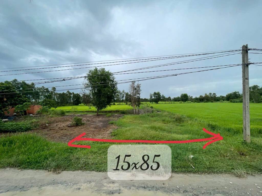 Bán đất lúa / ĐT 823 , xã Tân Phú, Đức Hòa , mặt tiền đường oto , view kênh dt 1264m2 giá 2,2 tỷ