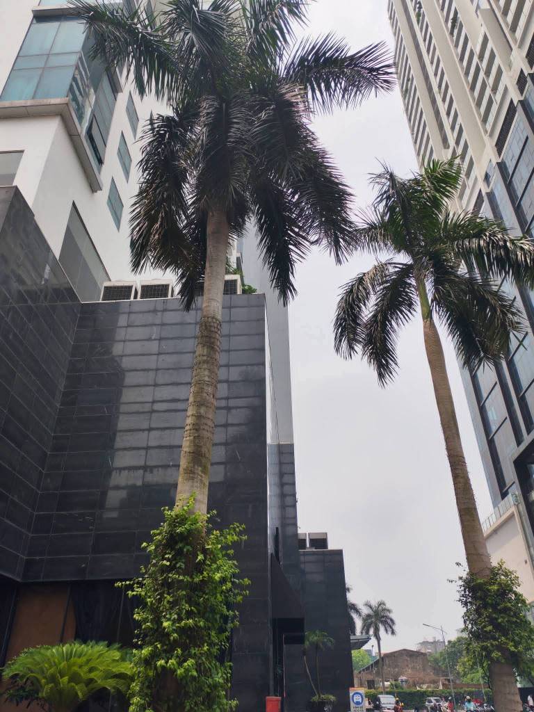 BÁN CĂN CHUNG CƯ GOLDEN LAND, TÒA C 275 NGUYỄN TRÃI, 112M2 3PN 2WC GIÁ 9.3 TỶ