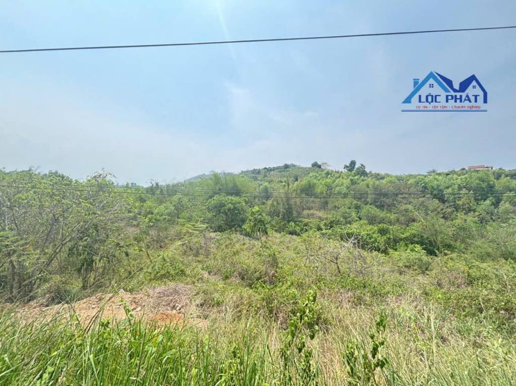 BÁN ĐẤT MẶT TIỀN QUỐC LỘ 20 – LA NGÀ, ĐỊNH QUÁN, ĐỒNG NAI, DT 31827M2, GIÁ 24 TỶ