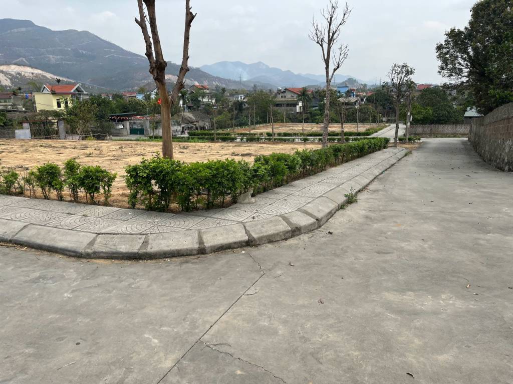 Bán đất Mạo Khê Đông Triều Quảng Ninh, dt 1000m² gần Đại học Công nghiệp giá 12 triệu/m²