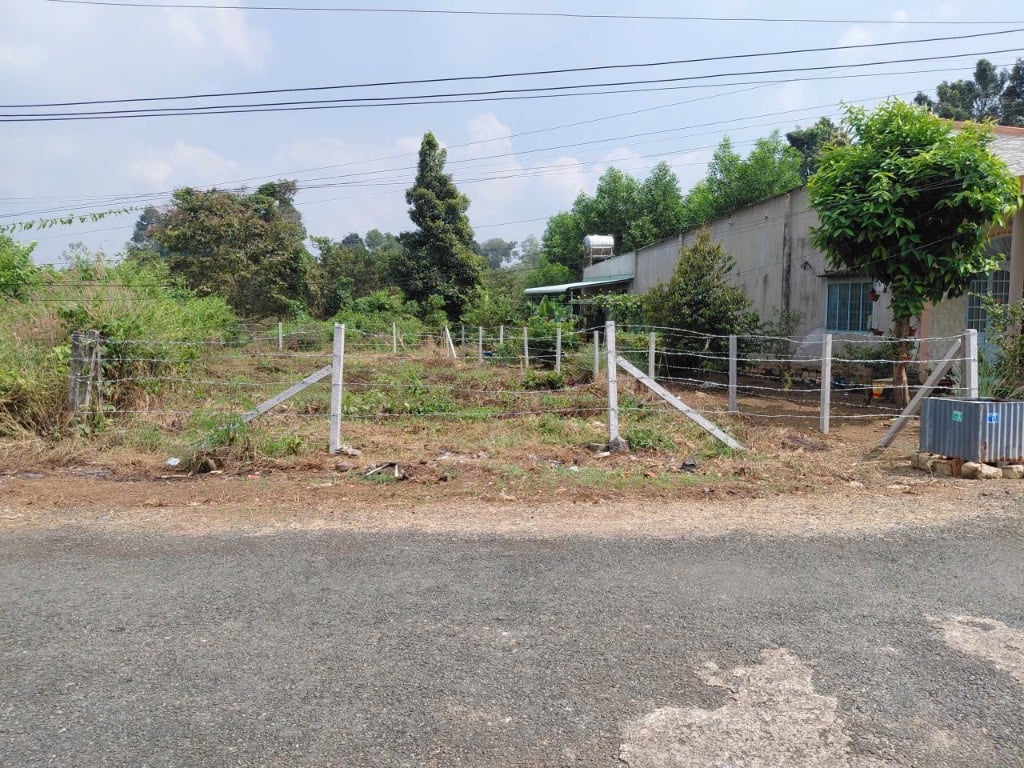 BÁN ĐẤT HẮC DỊCH, BÀ RỊA- VŨNG TÀU, DT 263M2 ĐƯỜNG NHỰA, GIÁ TỐT