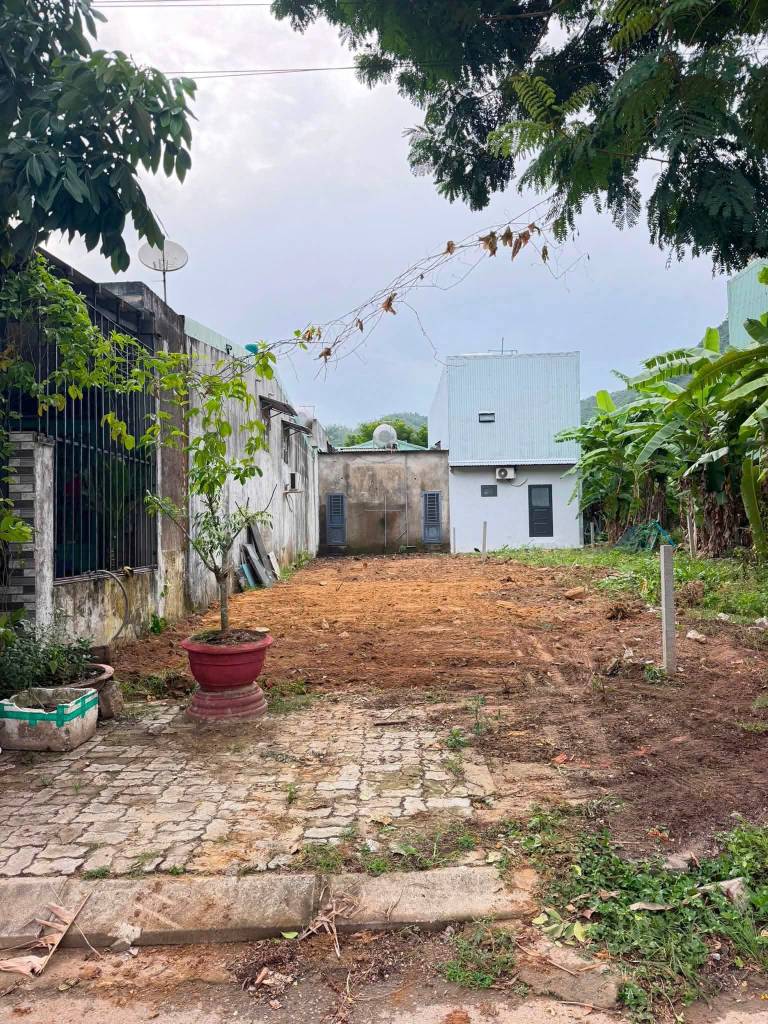 Bán đất TĐC Đại La, Hòa Sơn Hòa Vang, 100m² sổ hồng riêng, giá 2,45 tỷ