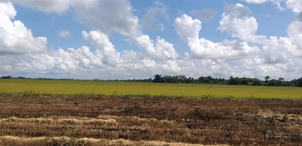 Cần bán gấp 2 sào đất tại xã bàu hàm 2, h. thống nhất, t. đồng nai, 1,8 tỷ/ 1 sào