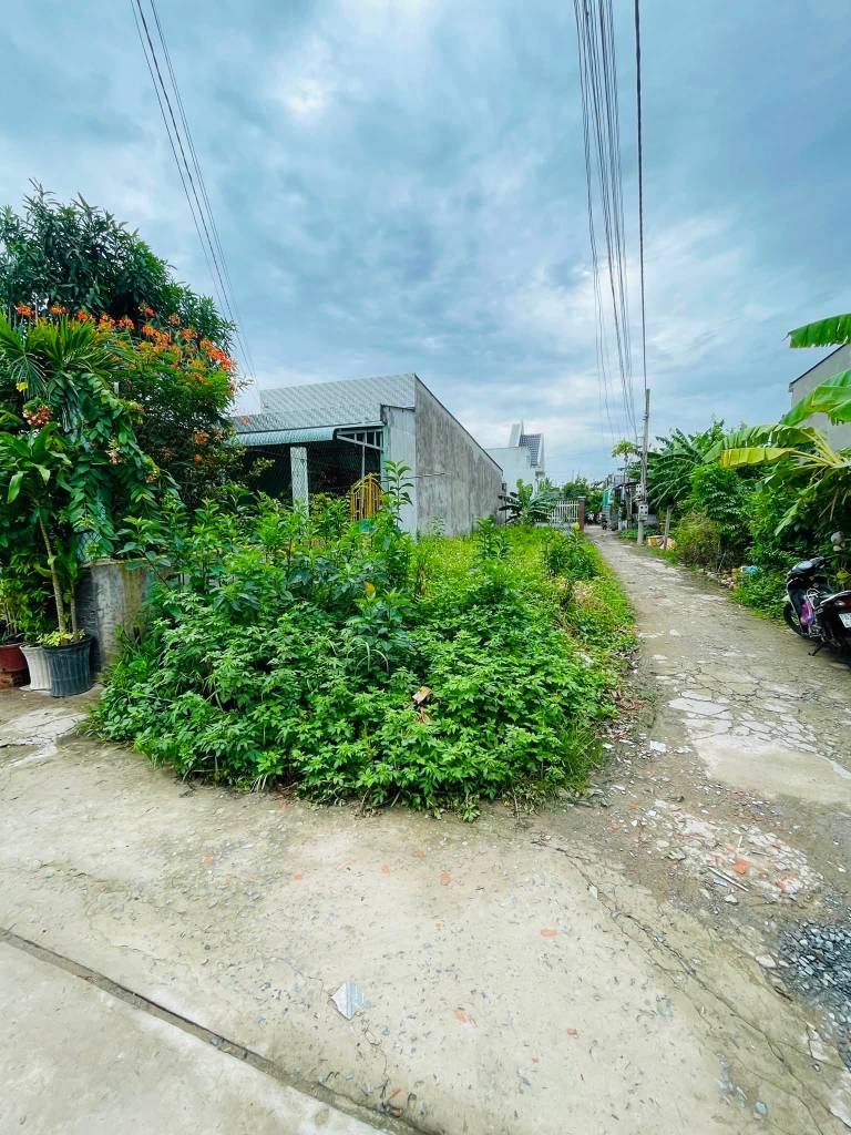 Bán đất thổ cư Hồ Văn Nhánh, Mỹ Tho, hẻm xe hơi ngay trung tâm, diện tích dài 135m²