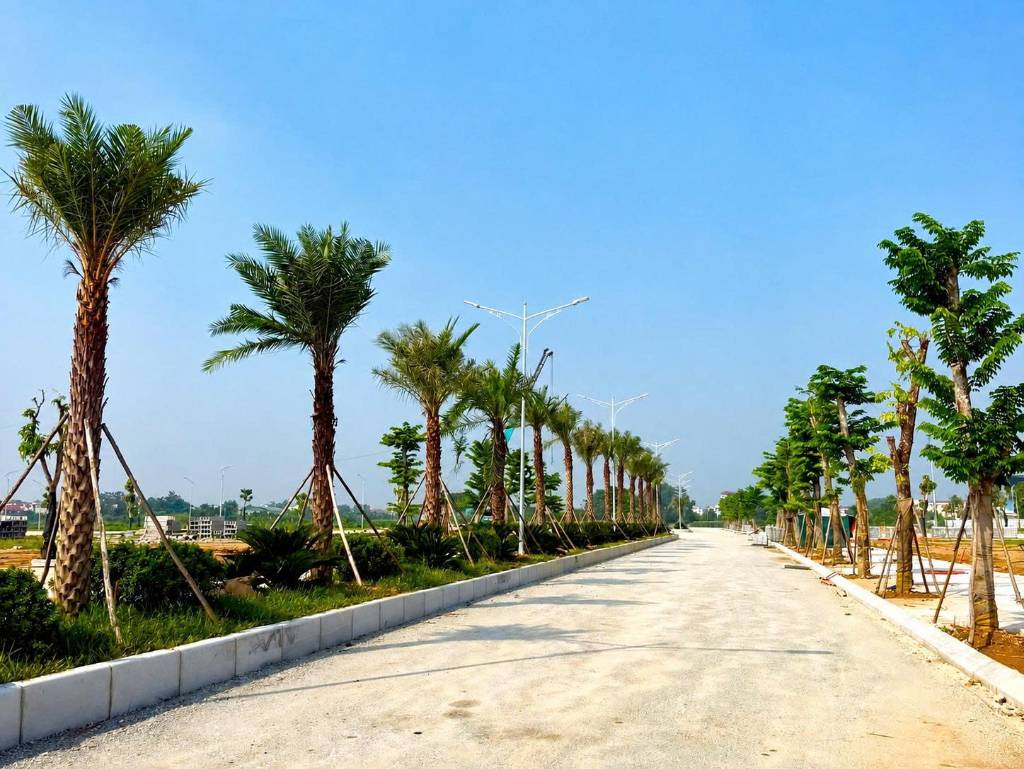 BÁN ĐẤT NỀN YÊN LẠC DRAGON CITY, CƠ HỘI ĐÓN ĐẦU TỪ ĐỢT RA HÀNG ĐẦU TIÊN