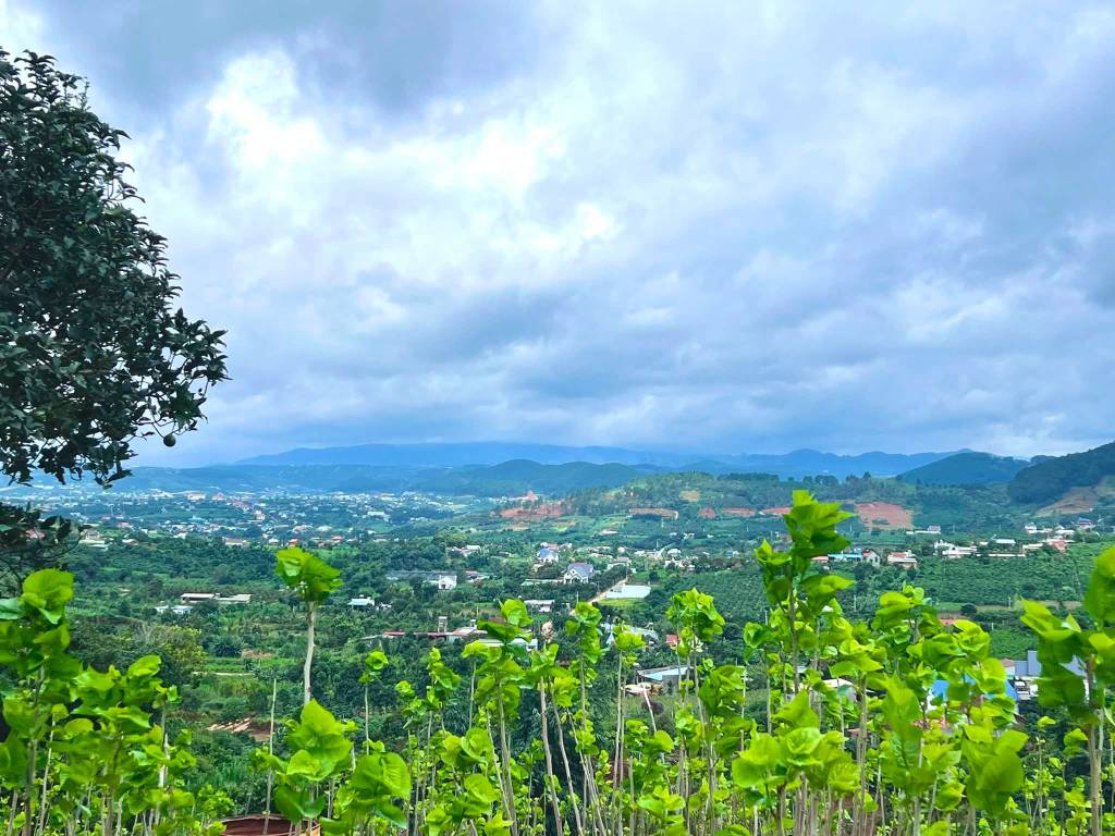 Bán đất Nam Ban Lâm Hà 5539m2 có 200m2 thổ cư view đồi thông giá 4.4 tỷ