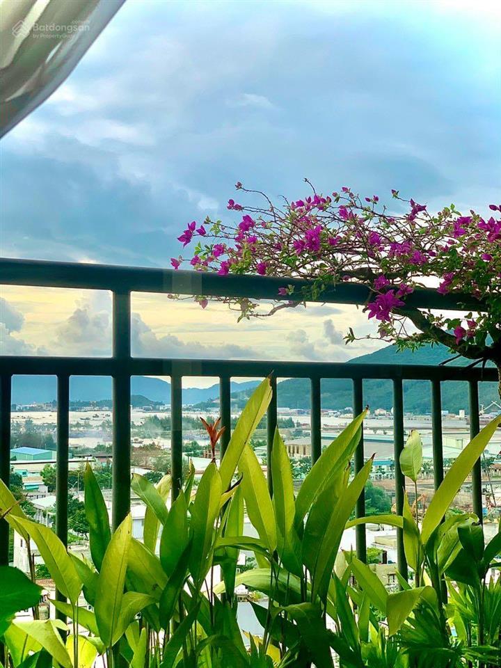 Bán căn hộ cao cấp sơn trà ocean view 1 phòng ngủ sẵn sổ hồng lâu dài