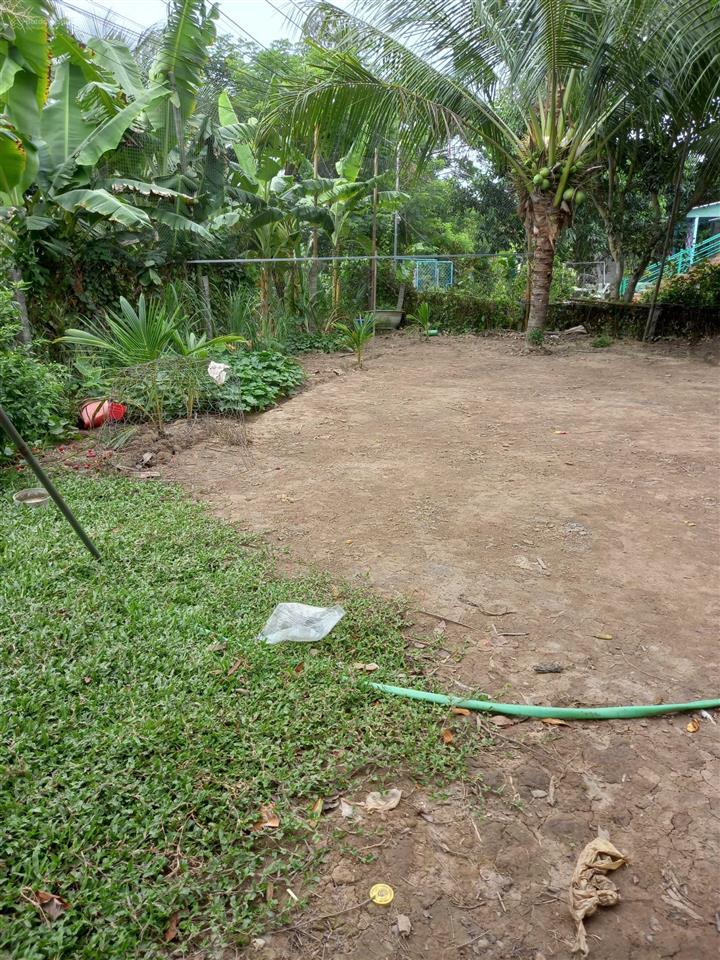 Bán đất xã bình hoà 95m2 giá 1,750 tỷ