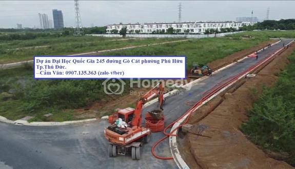Chuyên bán đất nền dự án tư vấn đất dự án ĐH Quốc Gia 245 phường Phú Hữu Quận 9. 09011109***Cẩm Vân