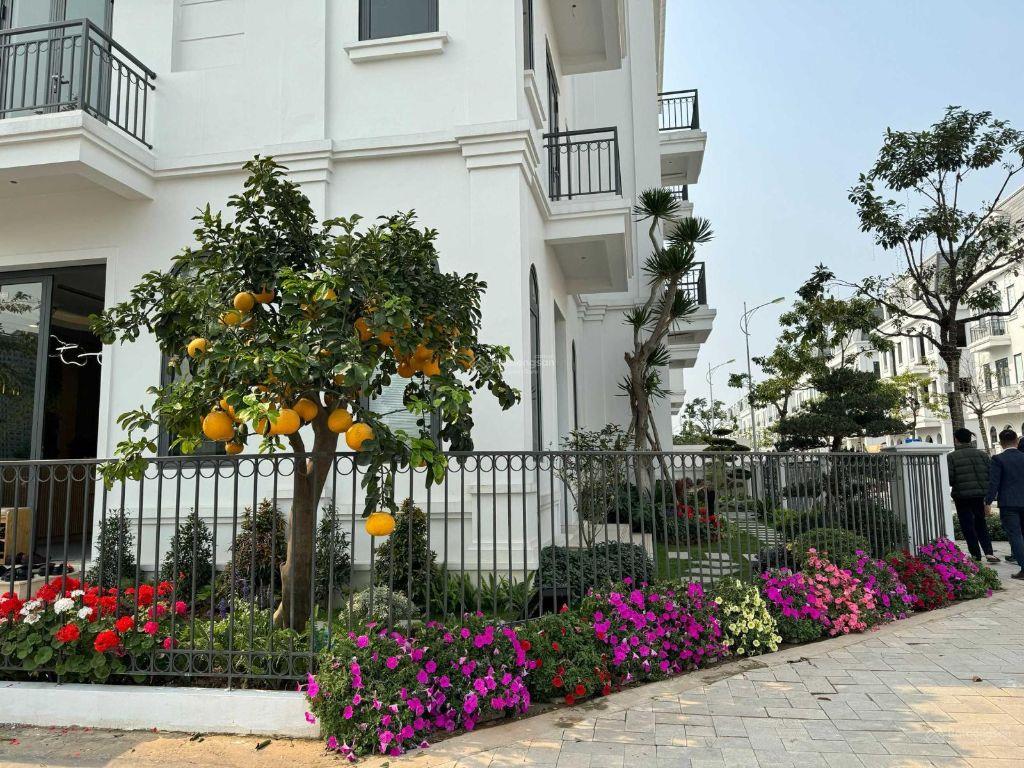 Hàng ngoại giao biệt thự An Quý - Khu A Dương Nội. Chiết khấu 13%, hỗ trợ vay 0% trong 2 năm