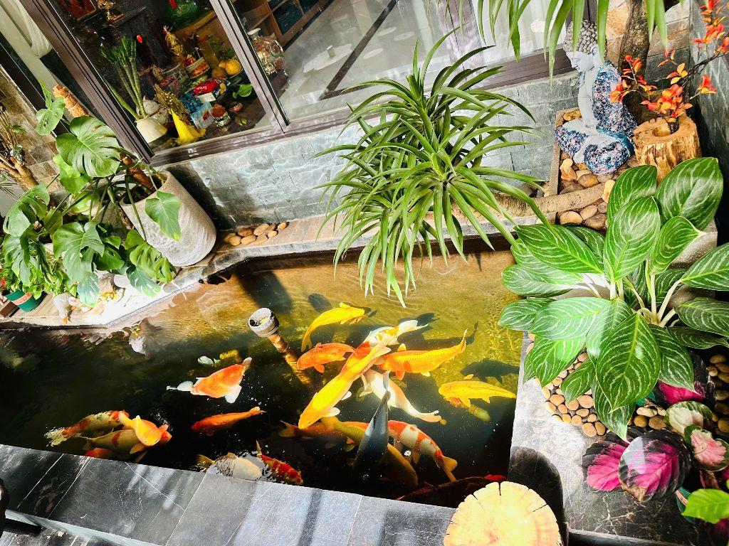 Gấp! Bán biệt thự KĐT chức năng Tây Mỗ, 198m2, nội thất siêu đẹp, giá chỉ 38 tỷ