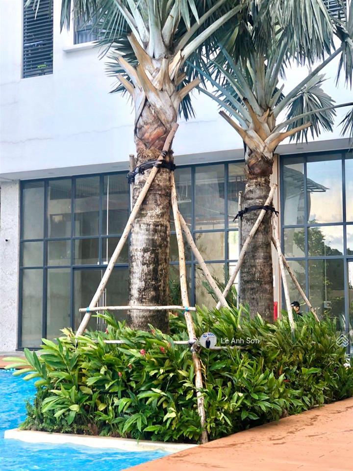 Căn hộ cao cấp dự án cskyview, mới 100% phường thủ dầu một, tp hcm dt 79m2 0985 901 ***