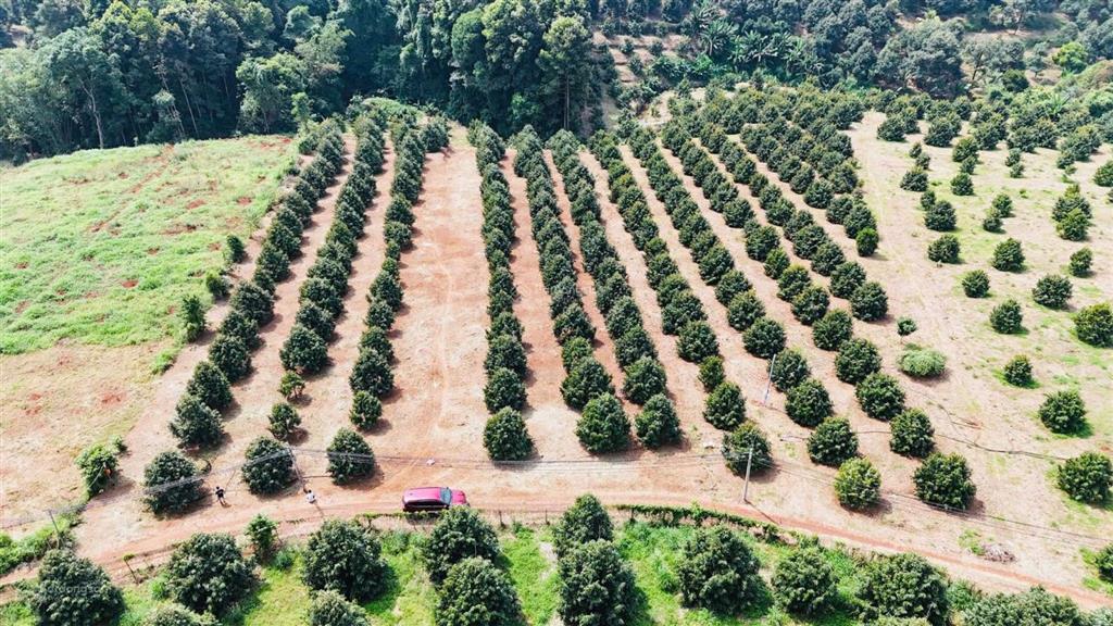 Lô góc 2 mặt tiền 1000m² giá tham khảo tốt trong khu vực hàng gòn, chỉ 1,3 tỷ