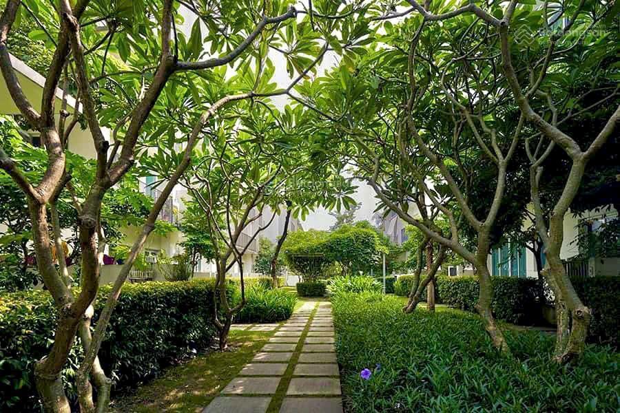 Chính chủ cần bán căn liền kề parkcity 120m2 vị trí siêu đẹp, nội thất full giá 3xtỷ 0968 450 ***