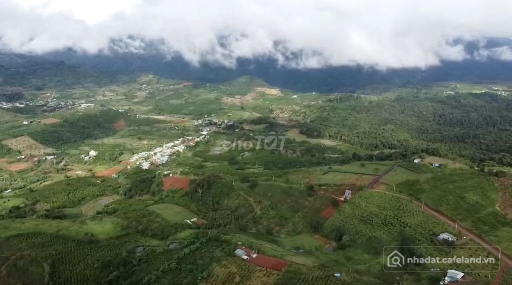 Bán đất nông, lâm nghiệp: Đón Đầu Cao Tốc Tân Phú Bảo Lộc Đất Ven Đồi Đẹp Nhất B