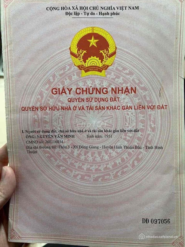Bán đất nông, lâm nghiệp: Đất vàng Binh Thuận