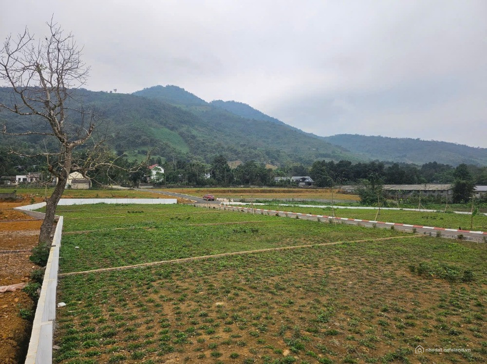 Bán đất Cư Yên, Lương Sơn, Hòa Bình chỉ 2,5 tỷ đất đẹp sẵn sổ hồng