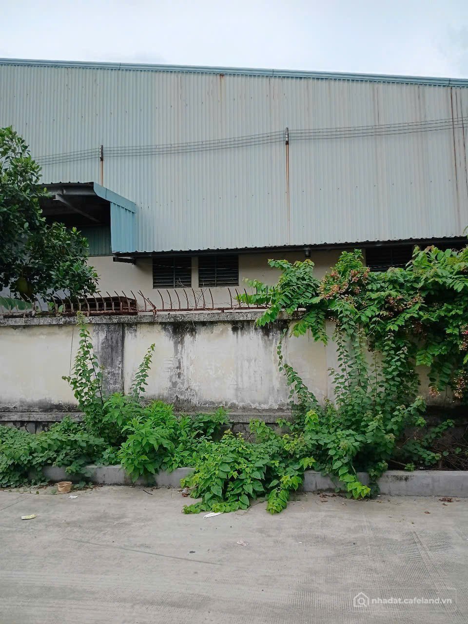 Bán kho, nhà xưởng: Bán nhà xưởng 16.390m² gần quốc lộ 1A – xe container tránh n