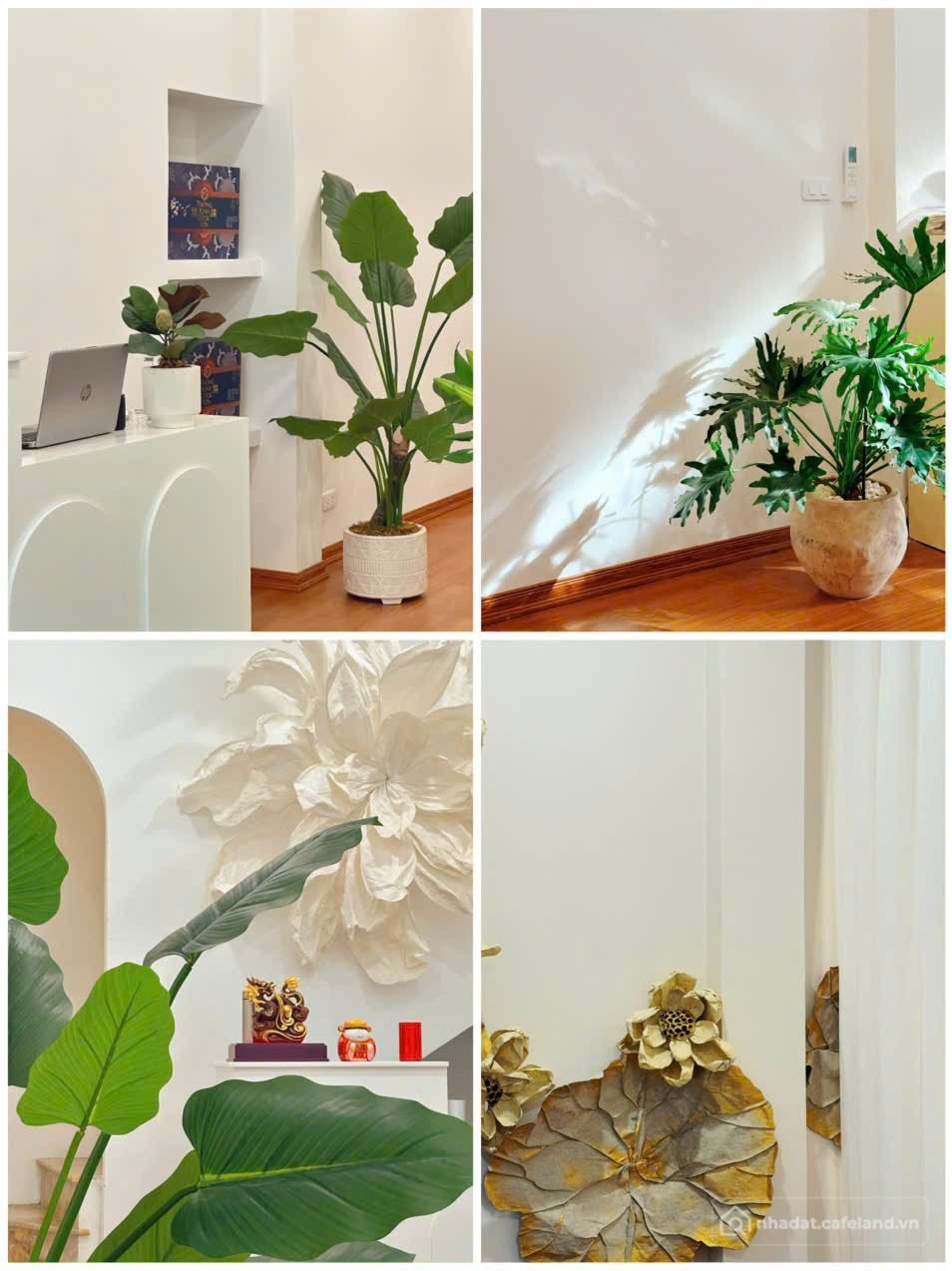 Bán căn hộ Mini, Dịch vụ: GIÁ TỐT - CHÍNH CHỦ CHUYỂN NHƯỢNG SPA LÀM ĐẸP DƯỠNG LÀ