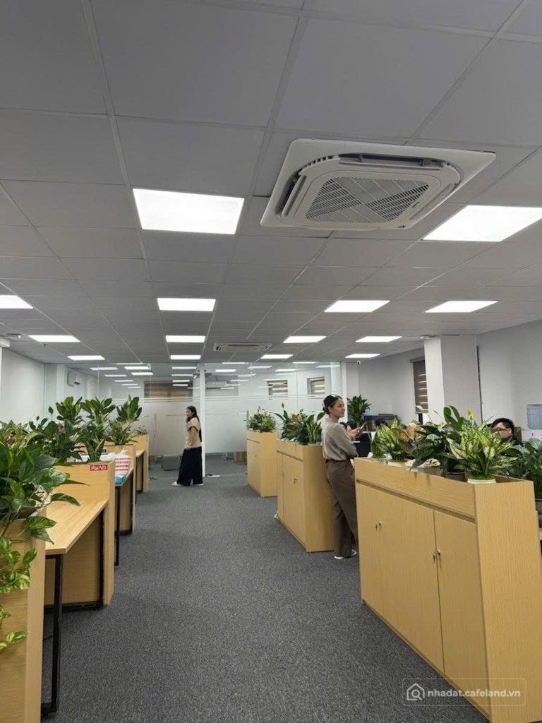 Bán căn hộ Mini, Dịch vụ: ️TOÀ NHÀ KHU CẦU GIẤY PHÂN LÔ - Ô TÔ TRÁNH CHẠY VÒNG
