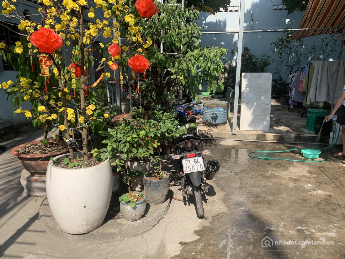 Bán căn hộ Mini, Dịch vụ: Bán dãy trọ 47P, Bình Chiểu, Thủ Đức - 915m2 có 651m2