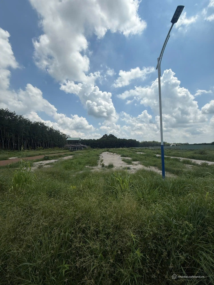 Cắt lỗ mạnh, sang nhượng gấp lô đất mặt tiền Cao Bá Quát