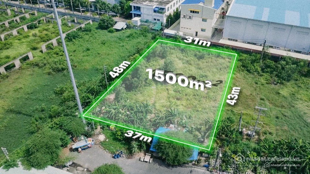 Cho thuê mặt bằng: Cho thuê mặt bằng 1500m2 - đường Hải Sơn Tân Đức