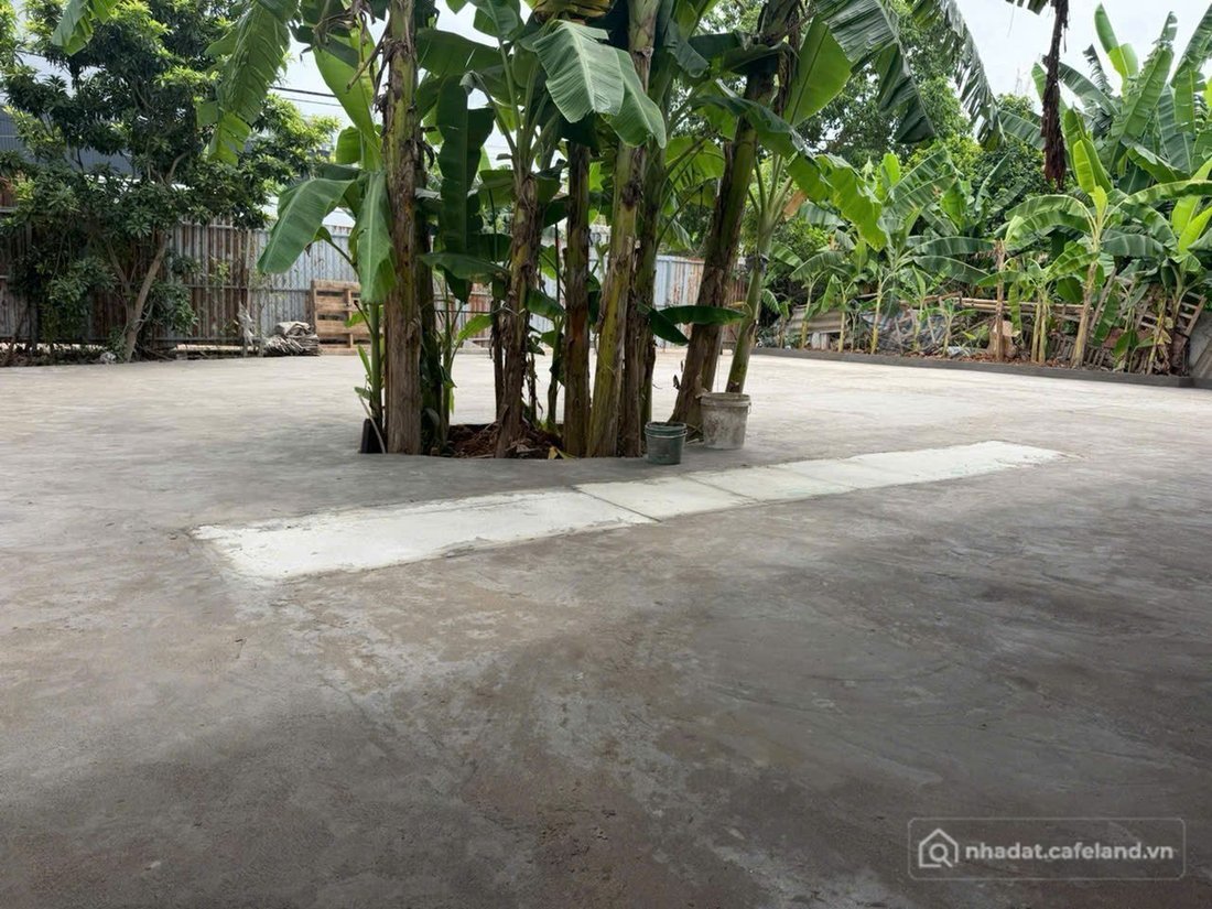 Cho thuê mặt bằng: Cho thuê mặt bằng: Cho thuê sân vườn tại Tân Xuân,Xuân Đỉnh,n