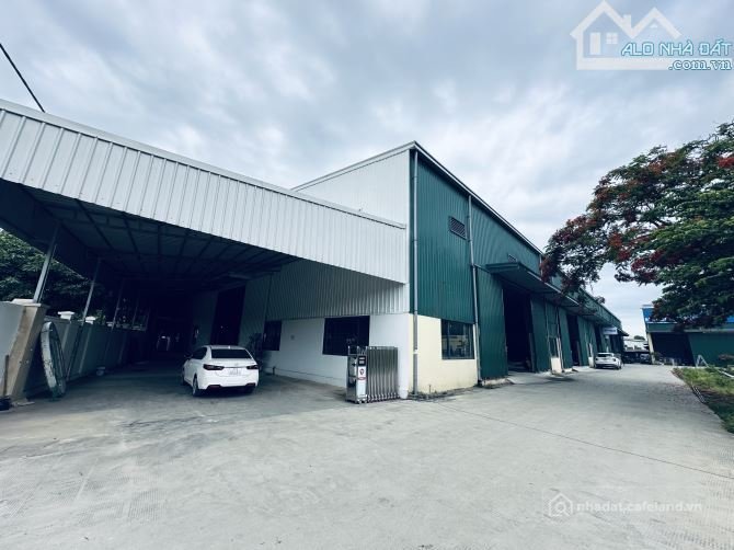 Cho thuê mặt bằng: Cho thuê mặt bằng: Cho thuê đất: Cho thuê 1500m2 có PCCC tự đ