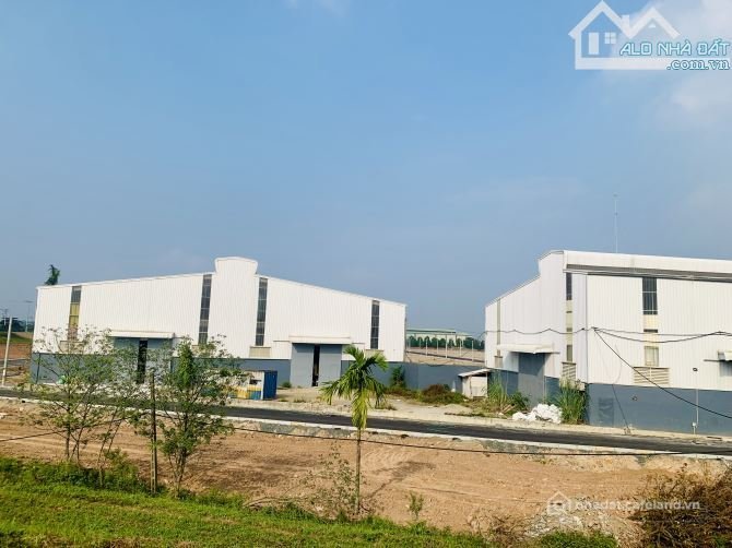 Cho thuê mặt bằng: Cho thuê mặt bằng: Cho thuê đất: Cho thuê 2000m2 có nghiệm th