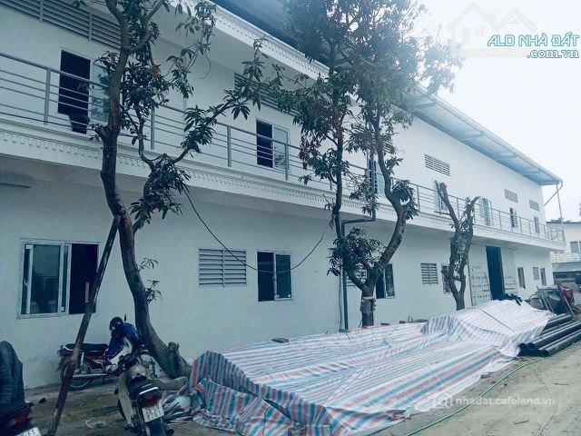 Cho thuê mặt bằng: Cho thuê mặt bằng: Cho thuê mặt bằng: Cho thuê đất: Cần cho t