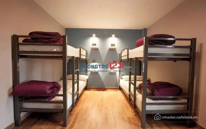Cho thuê phòng trọ: Cho thuê phòng trọ: Hệ thống trọ Homestay KTX Ngõ 82 Trần Cu