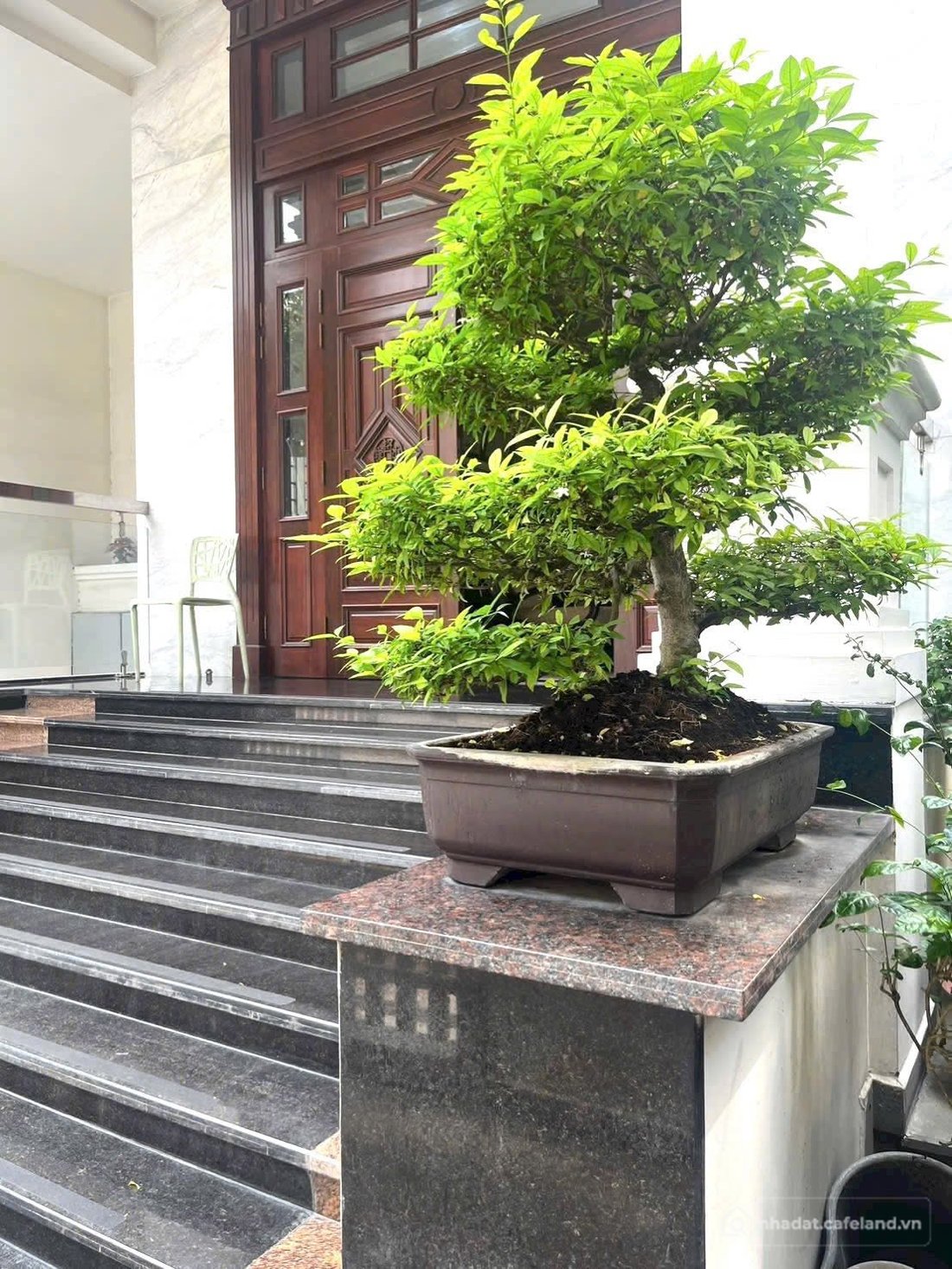 Biệt thự: Cho thuê biệt thự sang trọng, đầy đủ nội thất tại quận 7, thành phố Hồ
