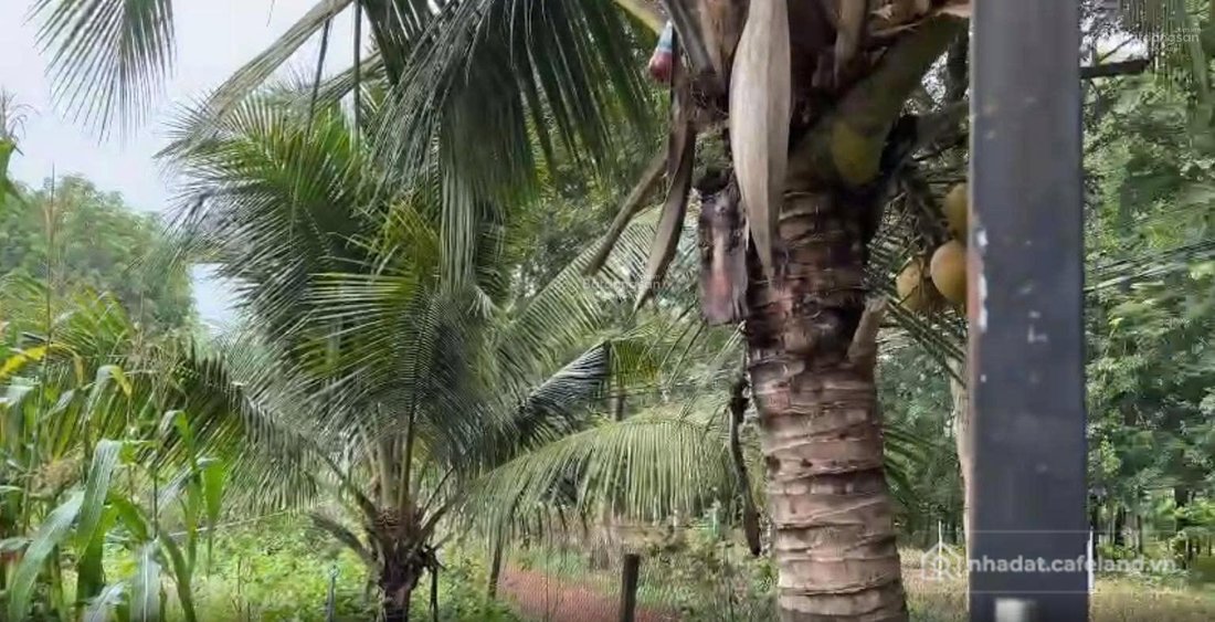 Nhà riêng: Chính chủ cho thuê nhà đất 1.600m² không gian rộng rãi