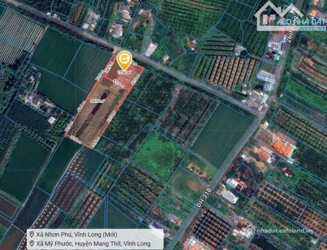 Bán đất nông, lâm nghiệp: CẦN BÁN 7.111M² ĐẤT TẠI NHƠN PHÚ, MANG THÍT, VĨNH LONG