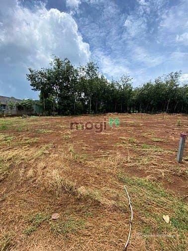 Bán đất nông, lâm nghiệp: ÁN ĐẤT PHÚ RIỀNG – GIÁ TỐT Vị trí: Phú Riềng, Bình