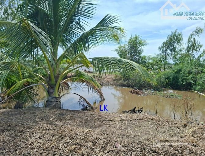 Bán đất nông, lâm nghiệp: Bán đất lúa: 53.600m² (110m x 487m) Đường đất xe ba