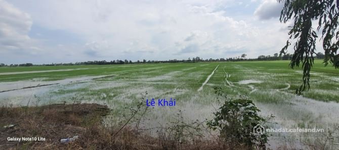 Bán đất nông, lâm nghiệp: Bán đất lúa: 9.631,2m² (28,5m x 337m ) Đường nội đ