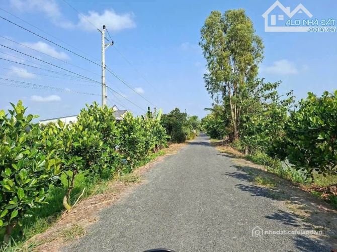 Bán đất nông, lâm nghiệp: Bán đất lúa: 14.295,5m² (Mặt tiền 16m , nở hậu) Đườ