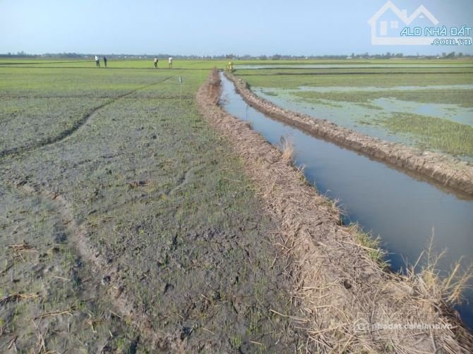Bán đất nông, lâm nghiệp: BÁN ĐẤT LÚA – GIÁ CHỈ 680 TRIỆU