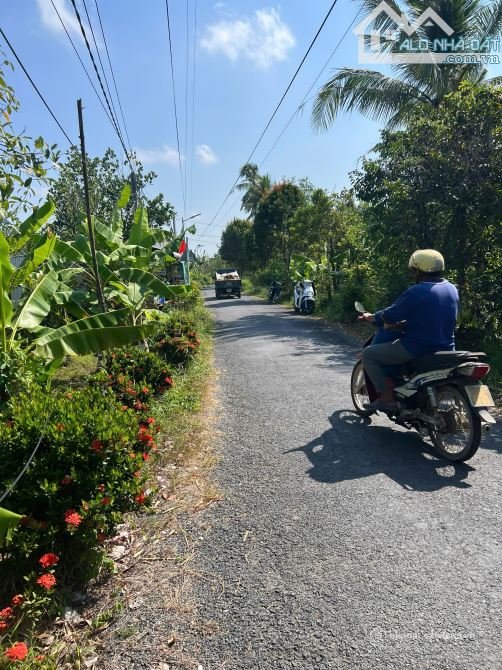 Bán đất nông, lâm nghiệp: Bán gấp 1000m2 đất CLN, lộ nhựa view sông xã Bình Hàng