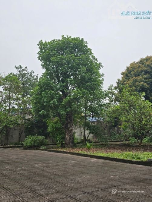 Bán đất nông, lâm nghiệp: BÁN ĐÂT Ở + VƯỜN + AO + NHÀ DT RỘNG HƠN 4.000 M,