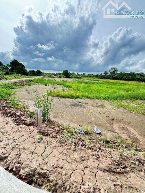 Bán đất nông, lâm nghiệp: NỀN ĐẤT VƯỜN ĐẸP VIEW SÔNG RẠCH THOÁNG MÁT- LỘ MỚI CÁN