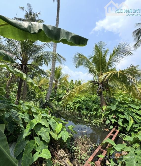 Bán đất nông, lâm nghiệp: ĐẤT HIẾM CÓ 5.200M2 NGAY LÒNG TRUNG TÂM TP.CẦN THƠ CÁC