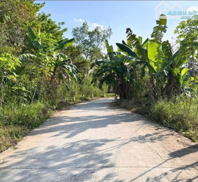 Bán đất nông, lâm nghiệp: NỀN XÂY TRỌ DIỆN TÍCH LỚN 1.425m2 RẠCH NGÃ BÁT ĐỐI DIỆ