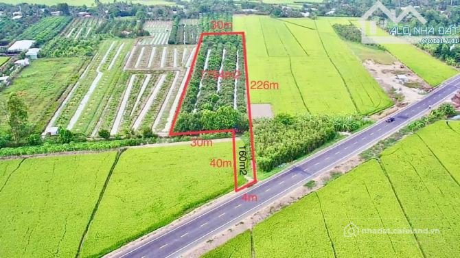 Bán đất nông, lâm nghiệp: BÁN 7.794m2. ĐẤT MẶT TIỀN TL 922 THUỘC TRƯỜNG LẠC Ô MÔ