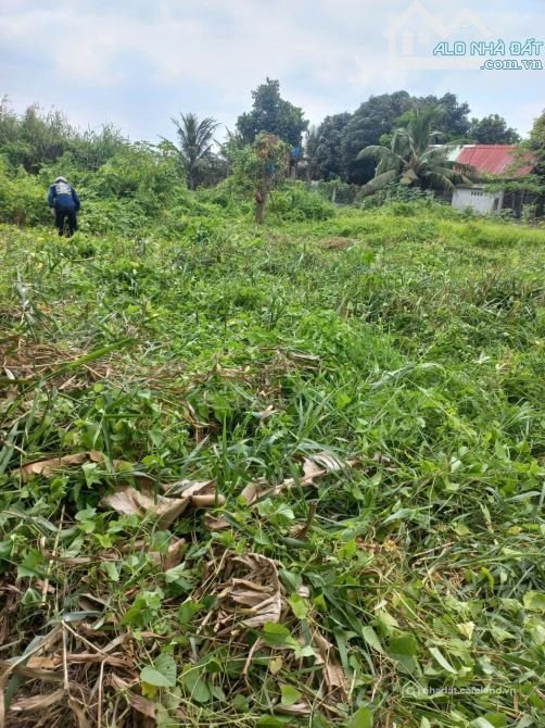 Bán đất nông, lâm nghiệp: ĐẤT DIỆN TÍCH LỚN 6.800m2 MT QL91B GẦN CẦU GIÁO DẪN -